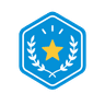 Pro Badge