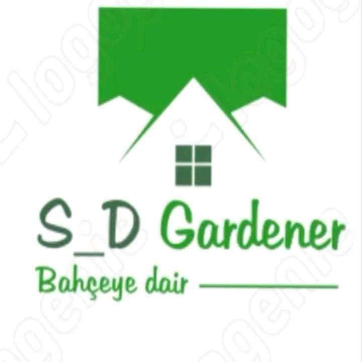 Serkan Dem