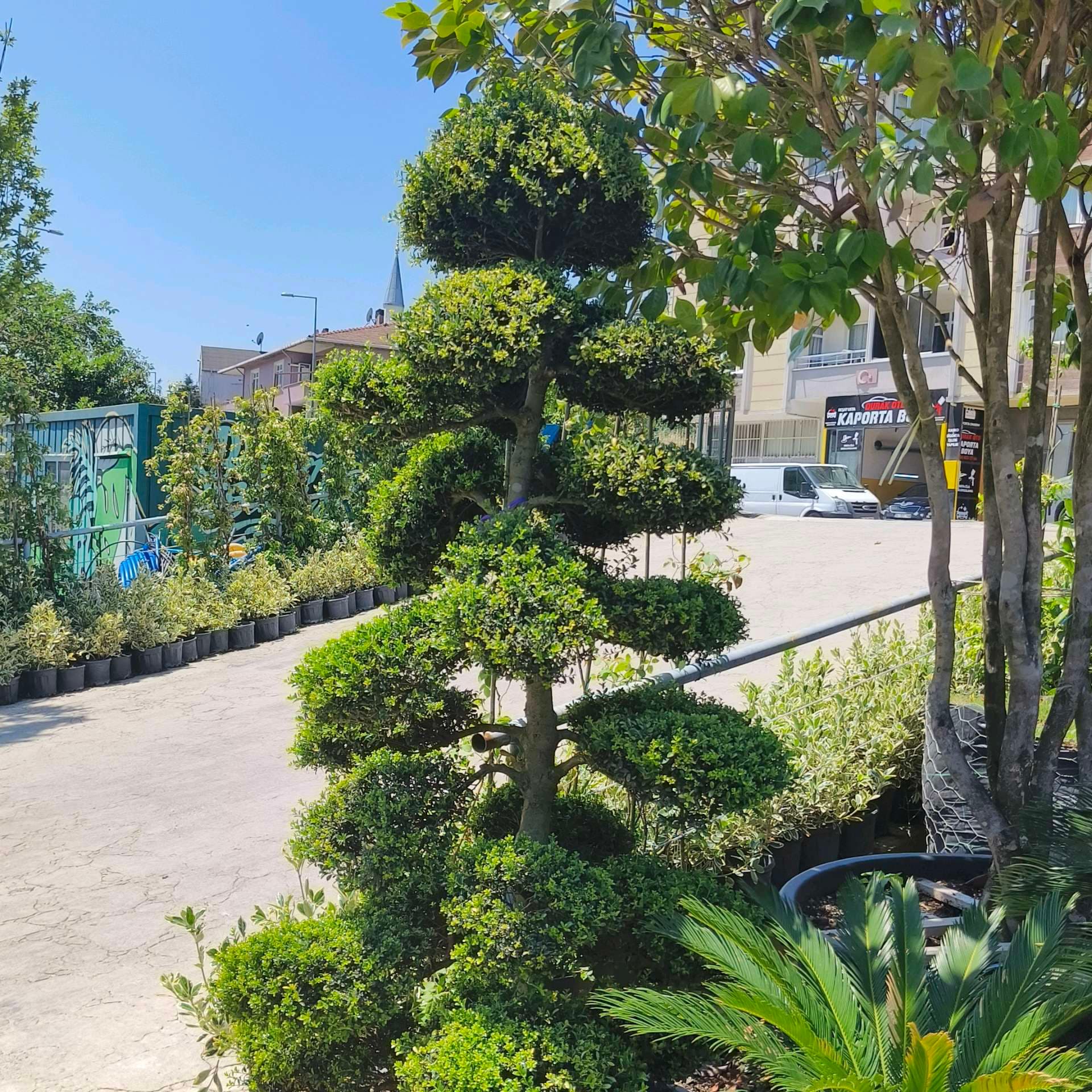 Can Uğurel